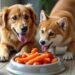 Gesunde Ernährung für Hunde und Katzen 2026