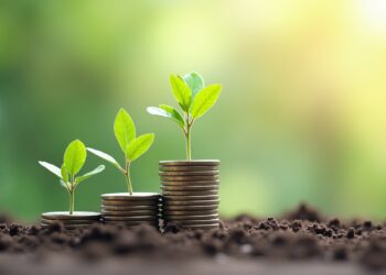 Nachhaltig investieren: Grundlagen für Einsteiger