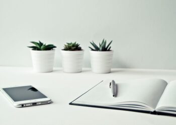 Neobroker im DACH-Vergleich: Was sie wirklich leisten