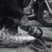 Arbeitskleidung im Handwerk: Normen und Passform