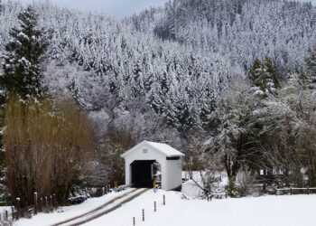 Carport in der Schweiz: Baubewilligung, Schneelast und Holzqualität