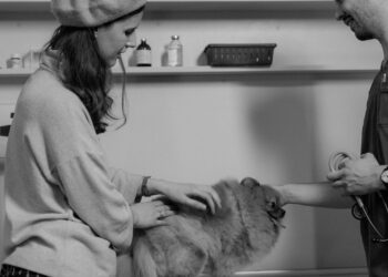Die besten Anbieter fuer Ernaehrungsberatung bei Hunden und Katzen im Vergleich