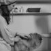 Die besten Anbieter fuer Ernaehrungsberatung bei Hunden und Katzen im Vergleich