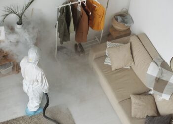 Schädlingsbekämpfer Wien 2026: 8 Anbieter im Vergleich