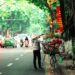 Vietnam ab Hanoi bereisen: Route, Reisezeit und Planung